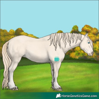 Horse Color:Perlino