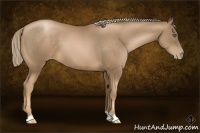 Horse Color:Liver Chestnut Pearl