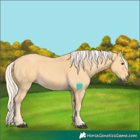 Horse Color:Palomino