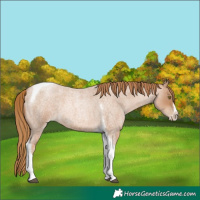Horse Color:Red Roan Pearl Tobiano Frame