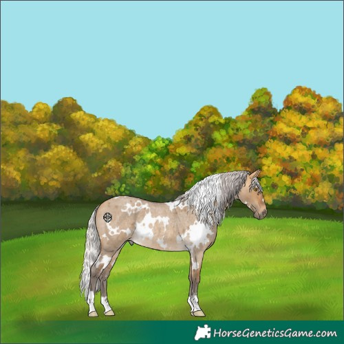 Horse Color:White Spotted Silver Buckskin Roan Dun Rabicano