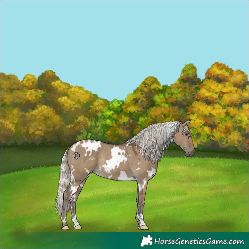 Horse Color:White Spotted Silver Smoky Grullo Rabicano
