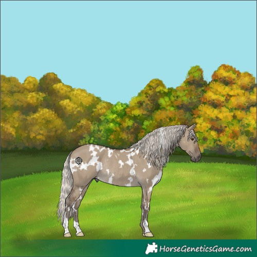 Horse Color:White Spotted Silver Smoky Grullo Rabicano 