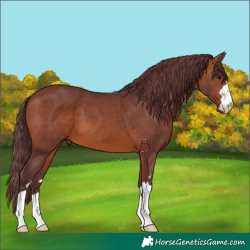 Horse Color:Chocolate Brown 