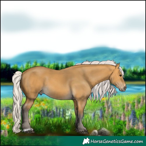 Horse Color:Silver Buckskin