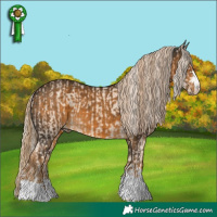 Horse Color:Cremello and Chocolate Palomino