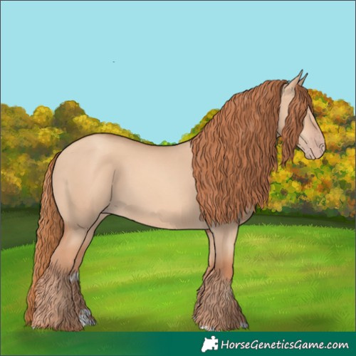 Horse Color:Gold Champagne Dun