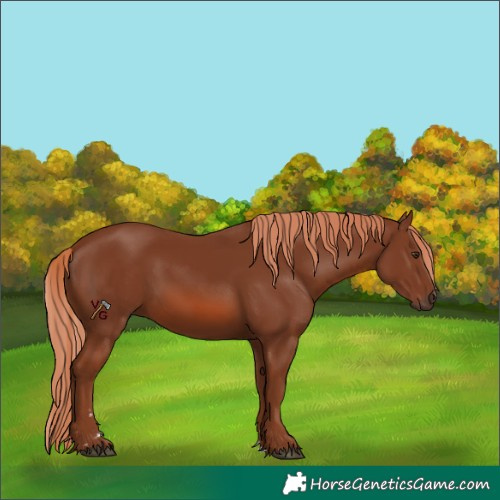 Horse Color:Unknown 