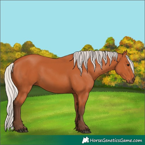 Horse Color:Silver Bay