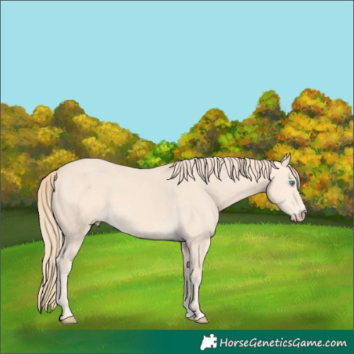 Horse Color:Perlino 