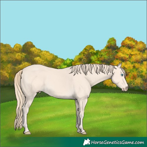 Horse Color:Perlino