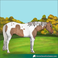 Horse Color:Silver Brown Dun Tobiano Brindle 
