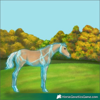 Horse Color:Thunderstruck Silver Buckskin 