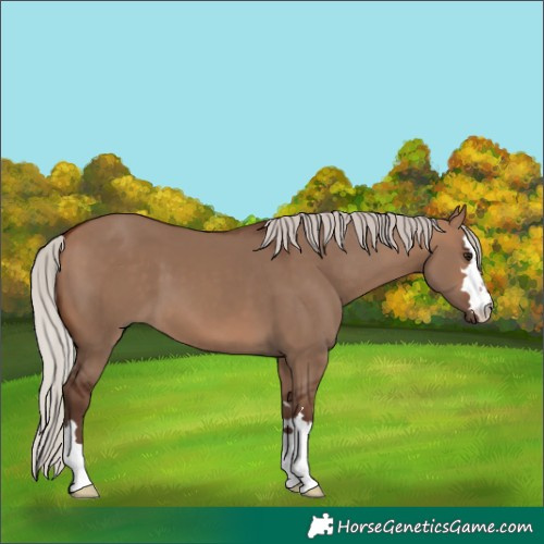 Horse Color:Silver Bay Dun 