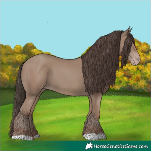 Horse Color:Classic Champagne