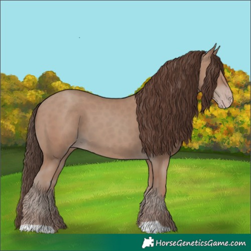 Horse Color:Classic Champagne 