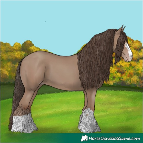 Horse Color:Classic Champagne 