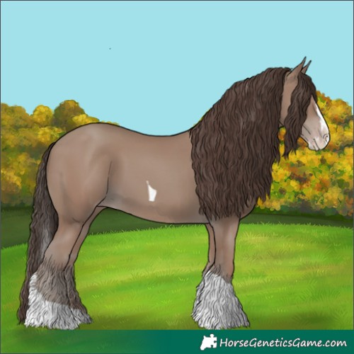 Horse Color:Classic Champagne Splash Tobiano
