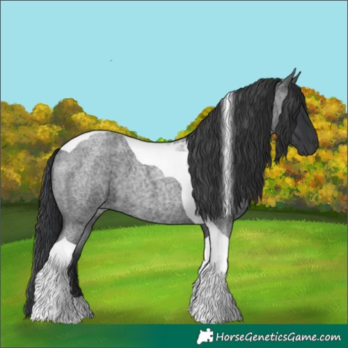 Horse Color:Blue Roan Tobiano 
