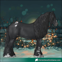 Horse Color:Black Varnish Rabicano 