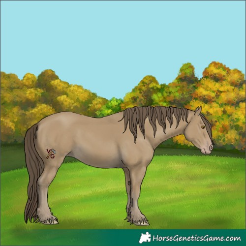 Horse Color:Unknown 