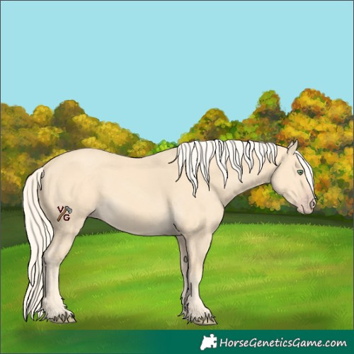 Horse Color:Gold Cream Champagne 