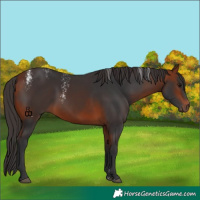 Horse Color:Powder White Bay