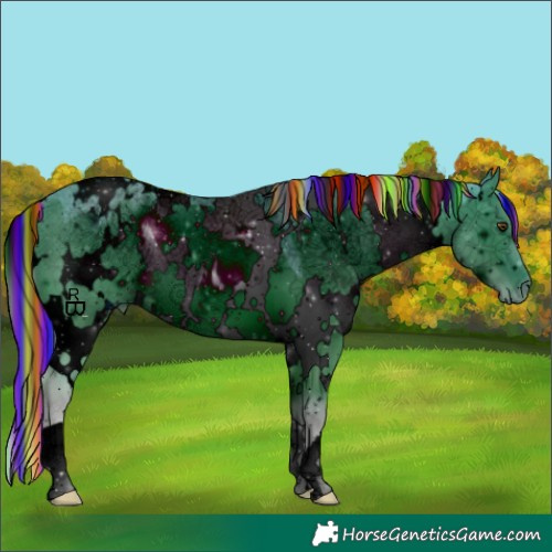 Horse Color:ERROR: UNKNOWN ANOMALY
