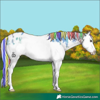 Horse Color:Painted Nacre White Spotted Silver Grullo Sabino Splash Blanket