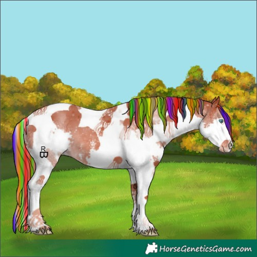 Horse Color:Painted Chestnut Sabino Splash Tobiano Appaloosa 
