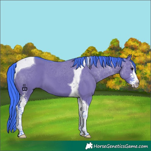 Horse Color:Watercolor Smoky Grullo Sabino Tobiano 