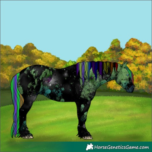 Horse Color:ERROR: UNKNOWN ANOMALY