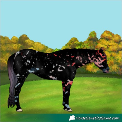 Horse Color:ERROR: UNKNOWN ANOMALY