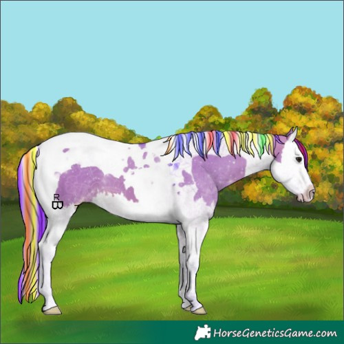 Horse Color:Painted Watercolor Brown Dun Splash Tobiano Appaloosa
