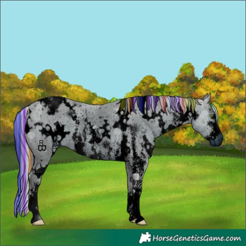 Horse Color:ERROR: UNKNOWN ANOMALY