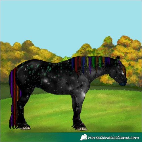 Horse Color:ERROR: UNKNOWN ANOMALY