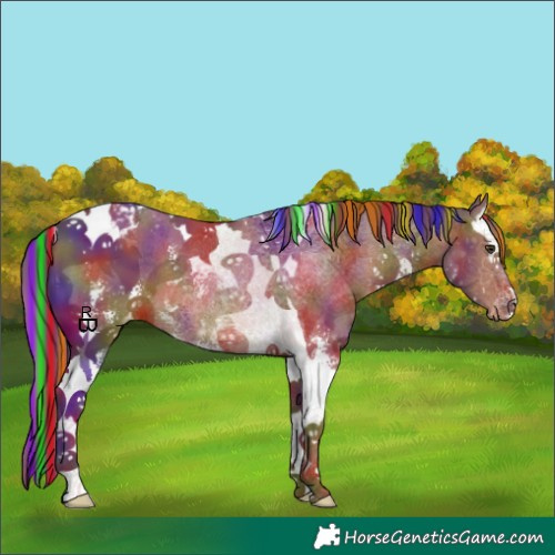 Horse Color:Painted Nacre Chestnut Sabino Splash Tobiano Appaloosa