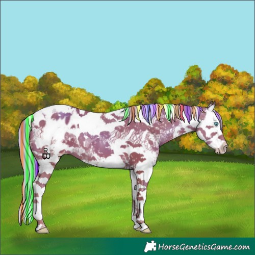 Horse Color:Painted Gold Champagne Sabino Splash Tobiano Appaloosa 