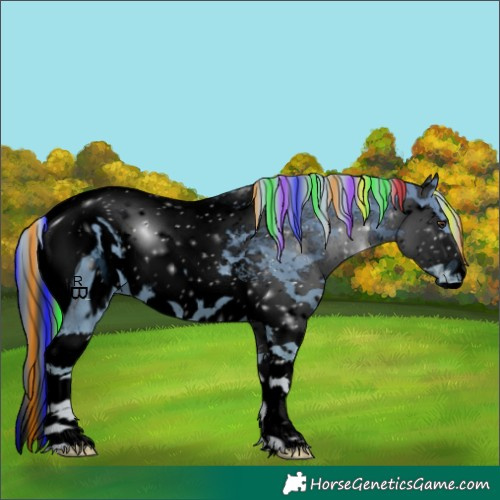 Horse Color:ERROR: UNKNOWN ANOMALY