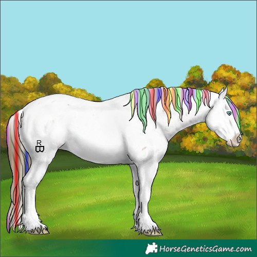 Horse Color:Painted Chestnut Sabino Splash Appaloosa 