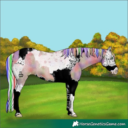 Horse Color:Painted Nacre Silver Sable Champagne Dun Splash Tobiano Appaloosa
