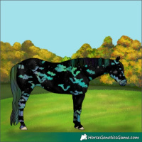 Horse Color:ERROR: UNKNOWN ANOMALY