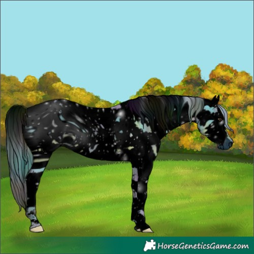 Horse Color:ERROR: UNKNOWN ANOMALY