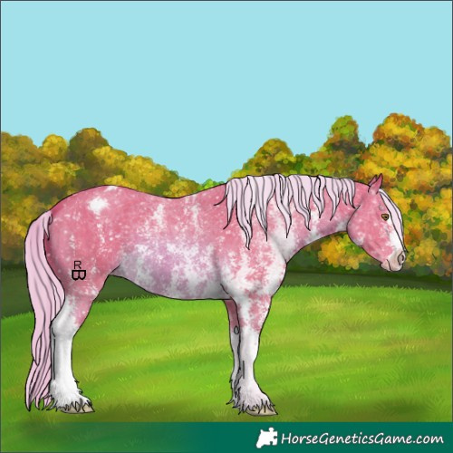 Horse Color:Watercolor Chocolate Palomino Sabino Appaloosa