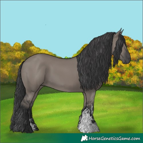 Horse Color:Grullo Sabino Rabicano