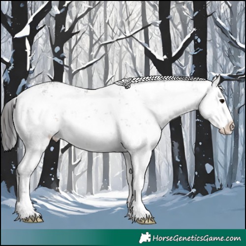Horse Color:White Spotted Brown Sabino