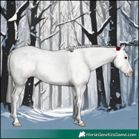 Horse Color:Brown Dun Sabino 