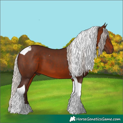 Horse Color:Silver Bay Tobiano