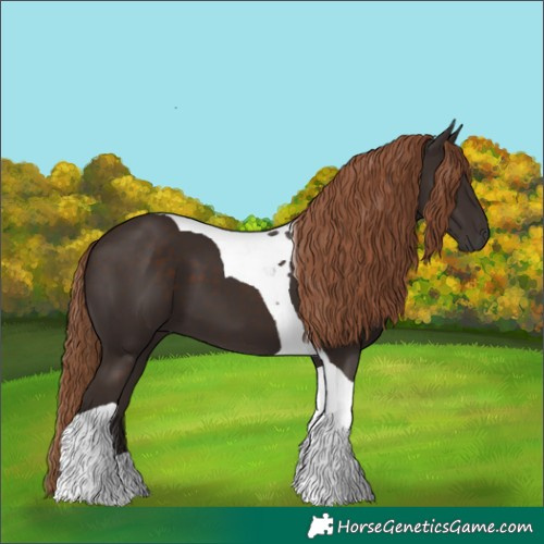 Horse Color:Liver Chestnut Tobiano 