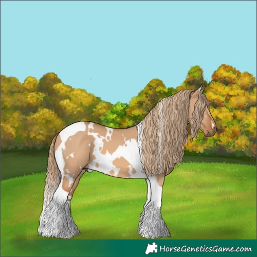Horse Color:White Spotted Red Dun Tobiano 